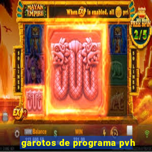 garotos de programa pvh